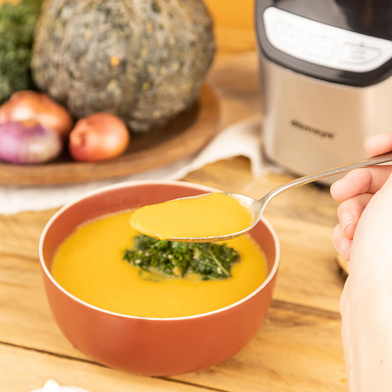 Simple Blender Pumpkin Soup